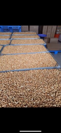 EBF61CC0-B61C-4D44-9075-C7CAFB0C8DF3