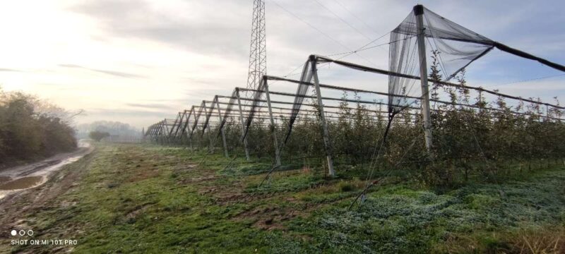 59ec99ba-6c51-4f07-9b7d-4664ad84a134