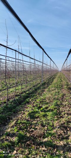 cab1e762-3963-4ef8-96c5-c0dbbe7f7f72