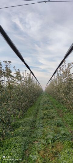 e56d62e3-af65-4757-8c34-5cf8609be353