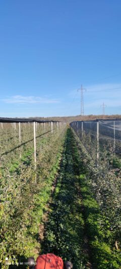 e0e0244b-2feb-4b83-967d-f3806a380ef1