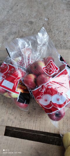 b0e9748a-7cba-42ad-bf41-94bb7ab0c7c4