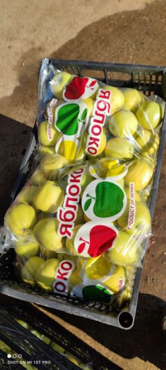 9c8224bc-17ec-4d07-8296-519f6f881cf4