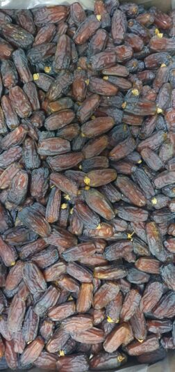 WhatsApp Image 2022-02-02 at 9.25.55 PM