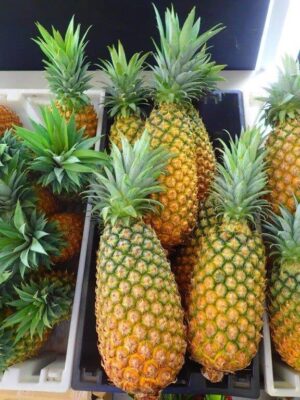 253310560_2090641624407607_2287053136471496512_n