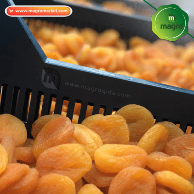 0Kayısı Sarı-Magro Food_11