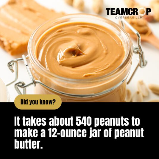 Social Media Jan 2022 T O LLP-01