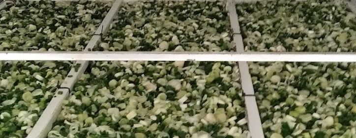 Captura de pantalla 2022-01-31 a la(s) 1.24.43 p. m.