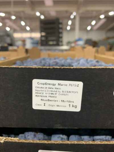 5F5422E0-5BF1-4CF2-83DB-3D363D02210F