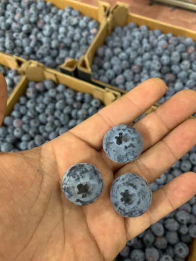 43C85367-2705-4B38-88F8-4CD9BD60AF69