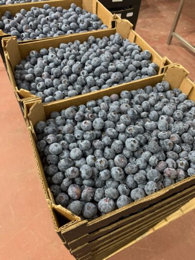 870A3B12-C9D6-4A9C-BA30-6DFA275B7CA3