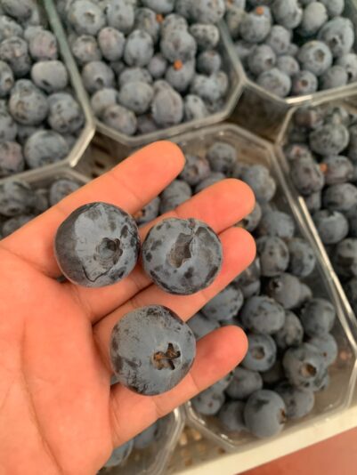 3B9033CC-36F9-4271-860B-5542D5B9EE83