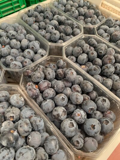 64F3705B-CCA5-4946-8352-9F5C68EA52AA