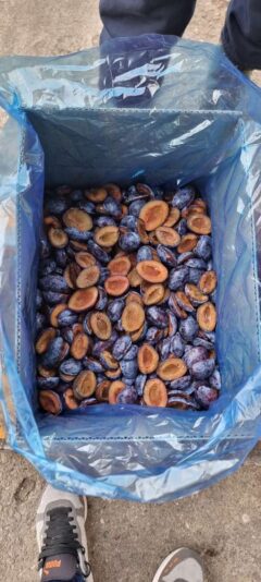 20301e3c-641a-48c7-9874-1dfb1d67d1d2