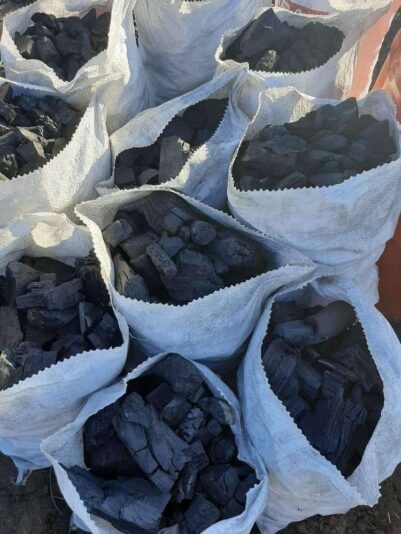 b3cd13ab-9c92-44ff-983c-dd9829abac8c