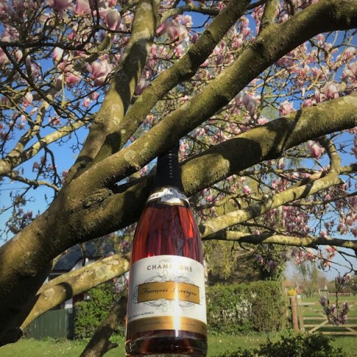 Israel and the Merneptah Stele