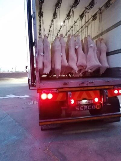 701af2cd-52f6-4553-aa05-b67a5ba19dcb