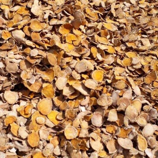 08ea6b08-1fda-4097-bf31-d011773d07cf