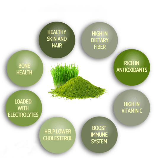 OEM Water Soluble Barley Grass Juice Powder​ Wholesale Bulk Price