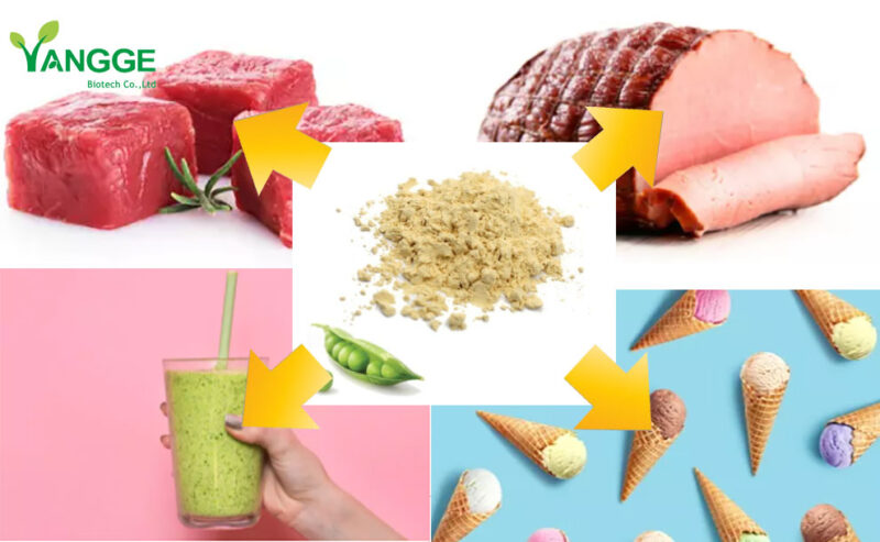 YANGGEBIOTECH Pea Protein Manufacturer
