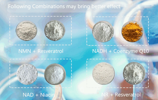 nicotinamide mononucleotide (nmn)