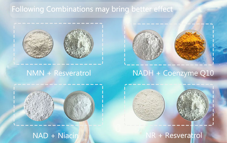 nicotinamide mononucleotide (nmn)