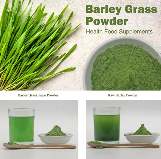 Barley Grass Powder-YANGGEBIOTECH