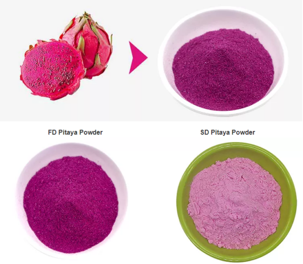 buy dragon fruit powder-buy dragon fruit powder