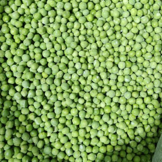 IMG_20211221_190110_091