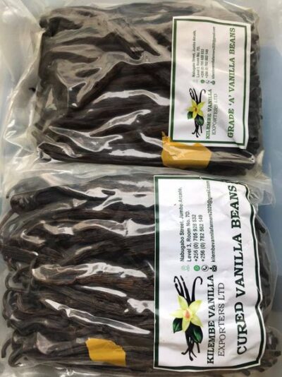 274212524_3217604201808323_8755946466863529550_n