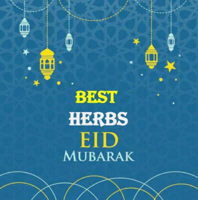 PowerPoint Presentation