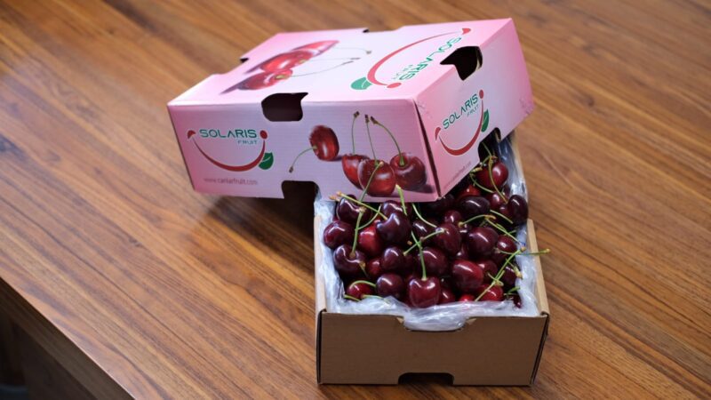 A1E8094C-26F0-4FC7-8376-BCFD3AF53C73