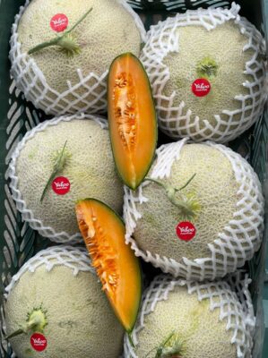 WhatsApp Image 2022-05-01 at 11.21.51 PM