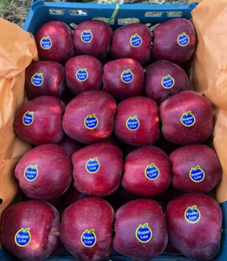 WhatsApp Image 2021-09-19 at 2.11.23 PM