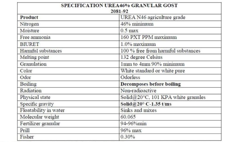 WhatsApp Image 2022-03-30 at 2.51.21 PM
