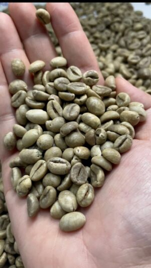 8C137C8B-3C44-4623-AFCE-26BD0E933913