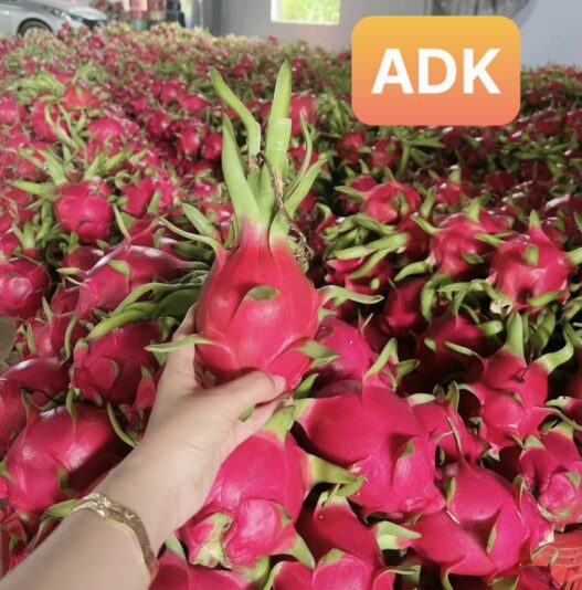 z3312032876128_3df5c4362b76e720f83a4b65303c2c72 - Copy