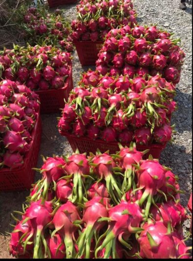 z3351976006503_2e693012853944bfd23b158873f505a3