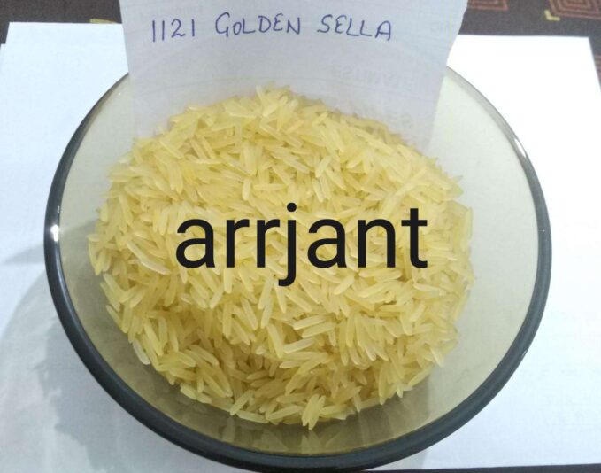 53f024b8-047e-43dc-ba35-bdb1da142ede