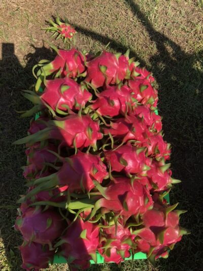 2e5029d92b8ce5d2bc9d - Copy (2) - Copy