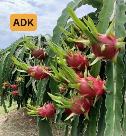 z3312032871875_67d37716c94f1bf12f0b3d2cc49cdc72