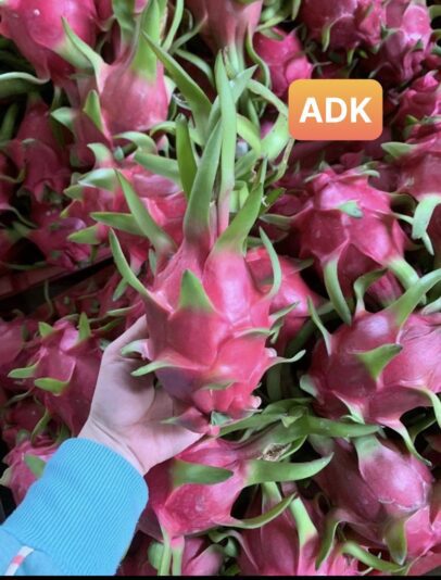 z3312032878610_cc0d6a99529eecbf69288924fa786f9f