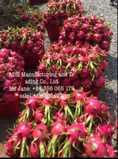 z3392960144734_dd71f0b895216d8d89bf4cfb16662161