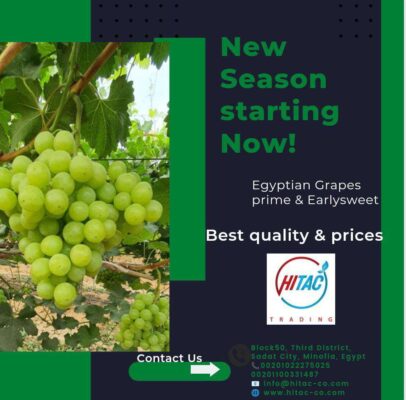 8d69d7ca-0d86-4131-8aa8-a43ca7a3cc8f