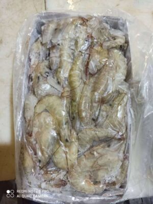 4537a67a-df55-4a2c-ab0b-fb720a91c454