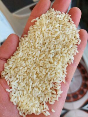 5cc43dff-7d01-451d-9fa4-2e804f5eefc7