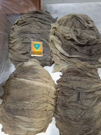 WhatsApp Image 2022-05-26 at 10.14.33 AM