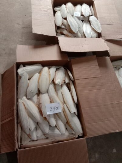 WhatsApp Image 2022-05-26 at 10.14.11 AM