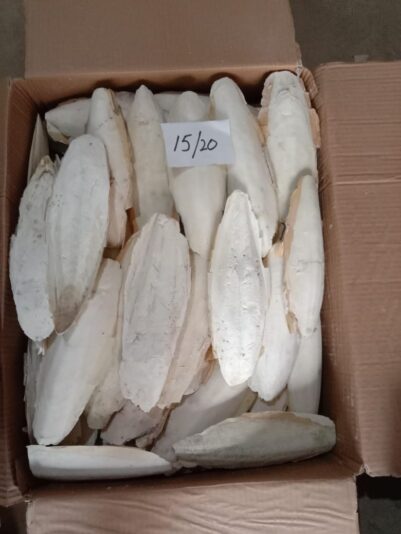 WhatsApp Image 2022-05-26 at 10.13.58 AM