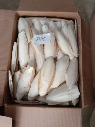 WhatsApp Image 2022-05-26 at 10.14.03 AM